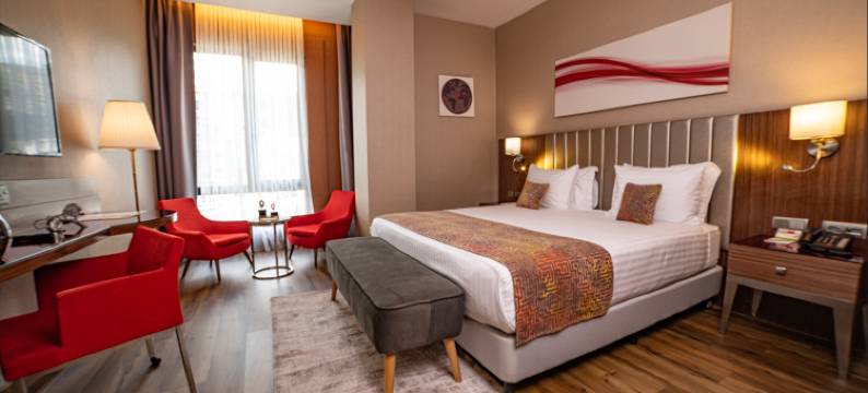 伊斯坦布尔阿里贝柯伊华美达酒店(Ramada by Wyndham Istanbul Alibeykoy)图片