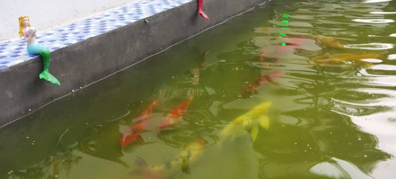 花筑·一亩花棠民宿(开封清明上河园西司广场夜市店)图片