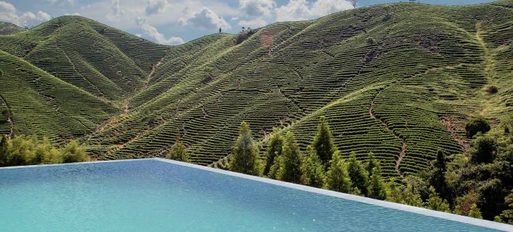 来野·十二兽设计师私汤民宿图片