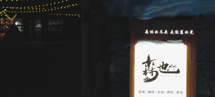 森也民宿(漠河北极村店)图片