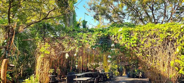 Surfer's Villa图片