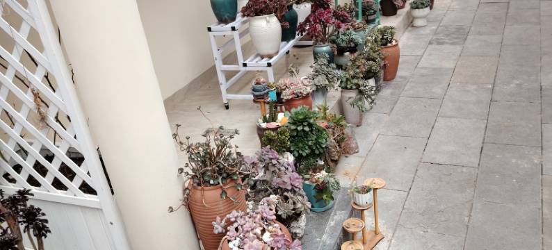 新状元时光民宿(青岩古镇店)图片