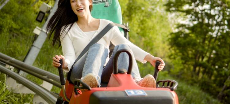 阿尔卑斯平昌洲际度假村(InterContinental Hotels Alpensia Pyeongchang Resort)图片