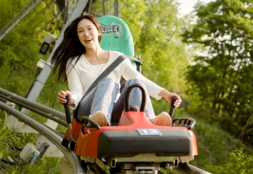 InterContinental Hotels ALPENSIA PYEONGCHANG RESORT by IHGHotel Overview