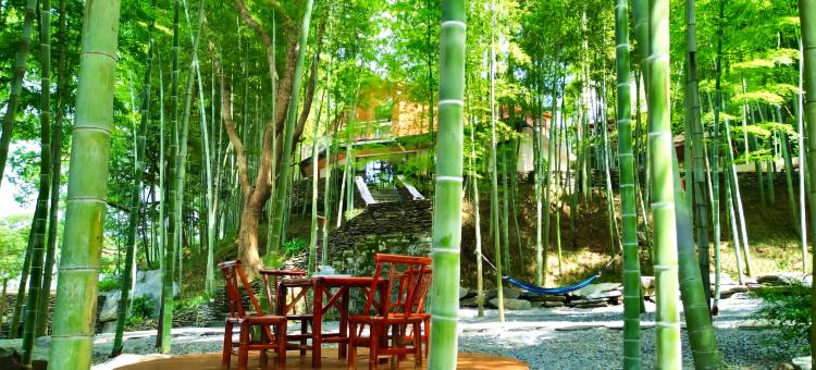 庐山君竹雅庐民宿(东林大佛店)图片