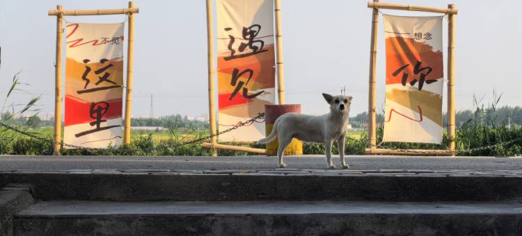紫贝壳旅游民宿图片