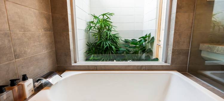 珊瑚岛(CORAL ISLAND)图片