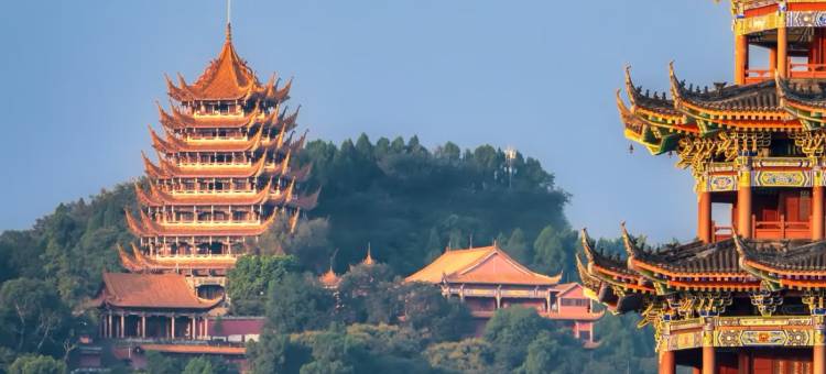 陌上・森林MoriZen|灵泉泡池・酒吧・烧烤・梵音疗愈禅意设计师别墅图片