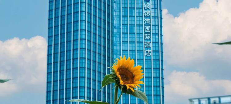 铜锣湾国际酒店图片