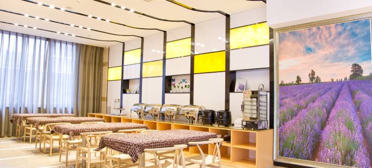 麗枫酒店(深圳大学城地铁站店)图片