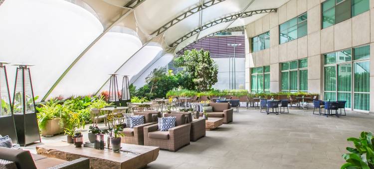 欧洲花园美利亚酒店(Meliá Jardim Europa)图片