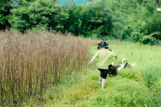 寓见小舍精品民宿图片