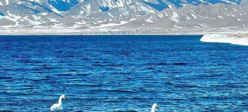 巩留云岭商务酒店图片