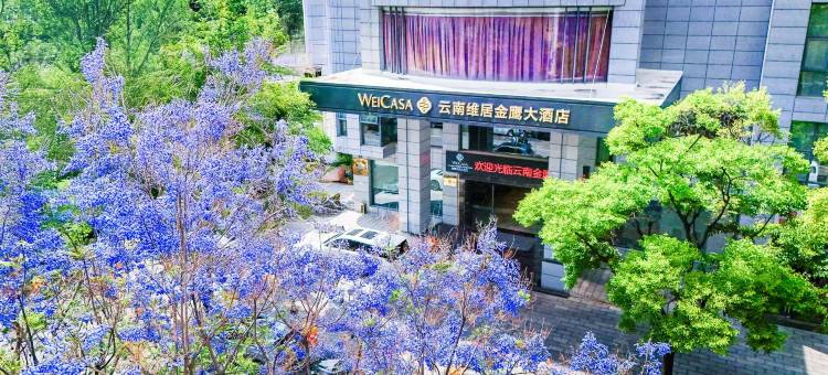 云南维居金鹰大酒店(昆明火车站国际会展中心店)图片