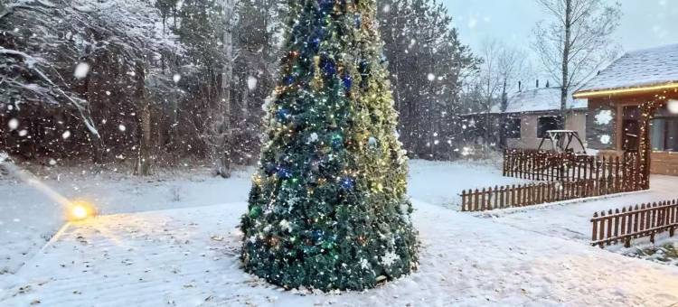 见吾乡轻奢民宿(亚布力滑雪旅游度假区店)图片