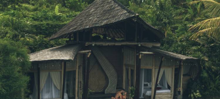 Camaya Bali - Magical Bamboo Houses图片