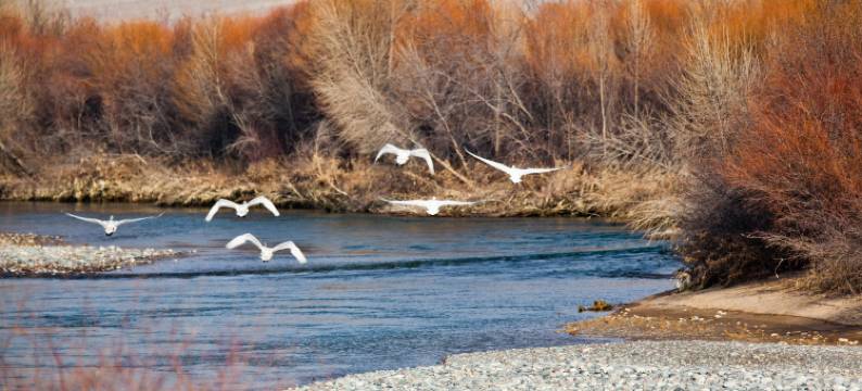 坤逸·精品酒店(西宁火车站建国路店)图片