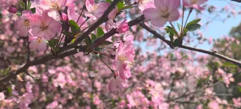 私享家酒店(福州仓山万达店)图片