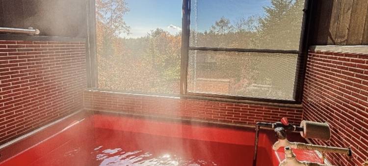 Private hot spring! Private house! Free movie!图片