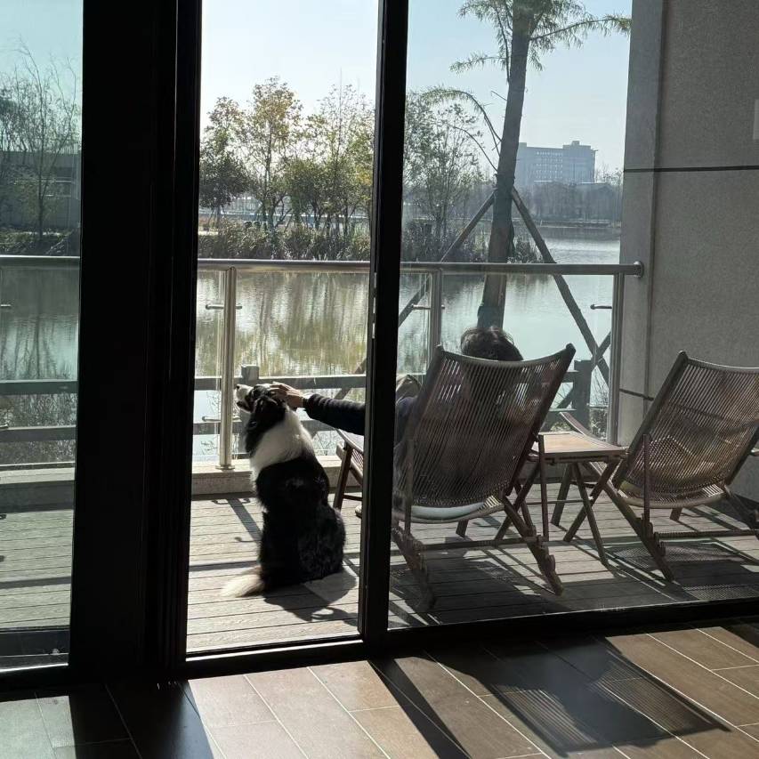 竹子·逸林酒店(岳阳君山鸟语林度假区店)图片