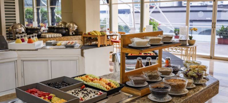 韦拉克鲁斯广场画廊酒店(Galeria Plaza Veracruz)图片