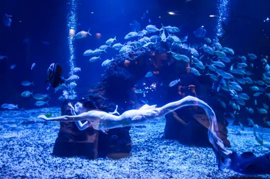 三亚亚龙湾迎宾馆图片