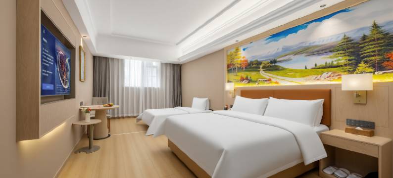 维也纳酒店(都匀万达广场店)图片