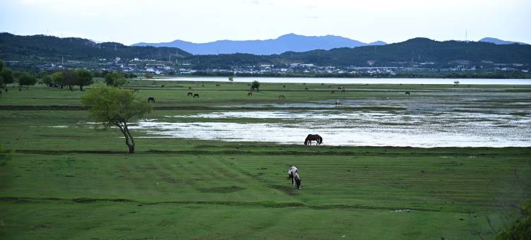 丽江玉龙星漱海民宿图片