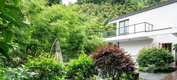 莫干山云峰竹苑养心疗愈主题民宿(庾村广场店)图片