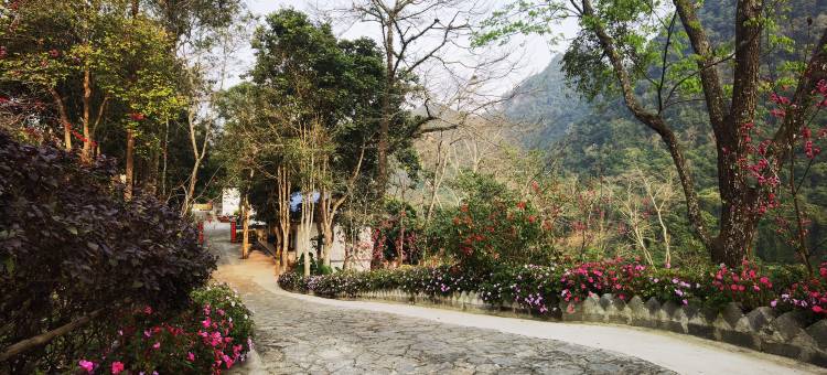 龙虎山民宿图片