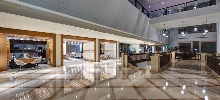 马斯喀特洲际酒店(InterContinental Hotels Muscat)图片