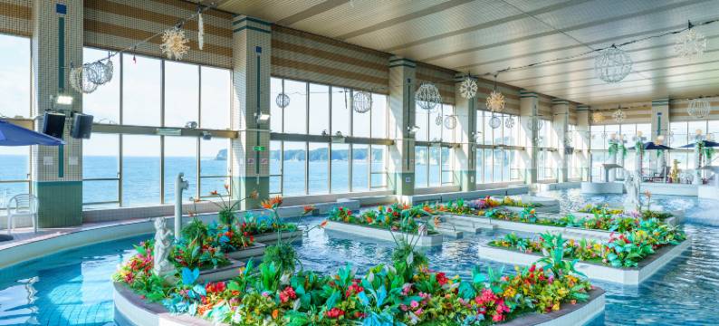 胜浦三日月海洋公园酒店(Mikazuki Sea-Park Hotel Katsuura)图片