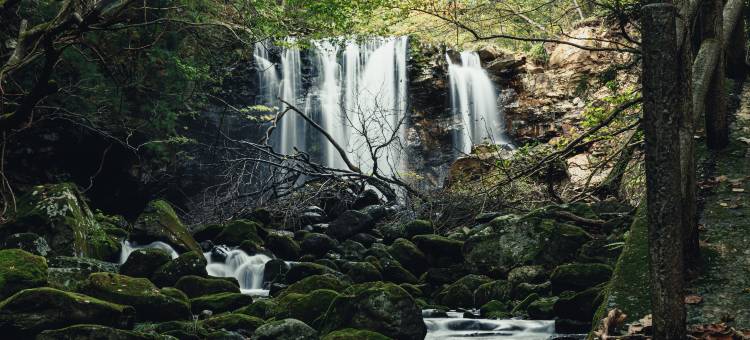 枥木宇都宫万枫酒店(Fairfield by Marriott Tochigi Utsunomiya)图片