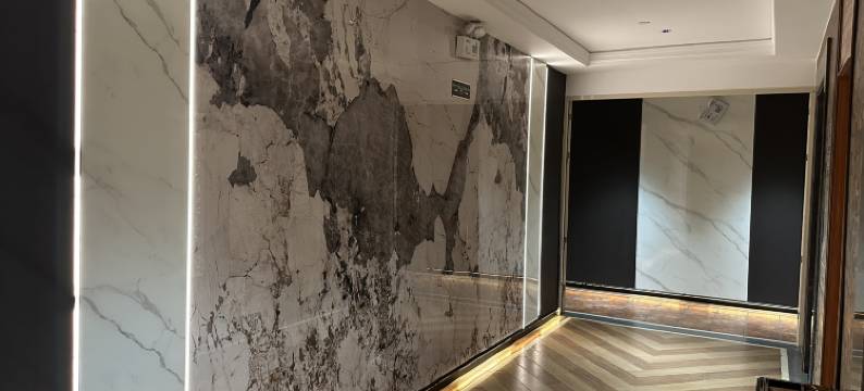 雷州新逸商务酒店图片