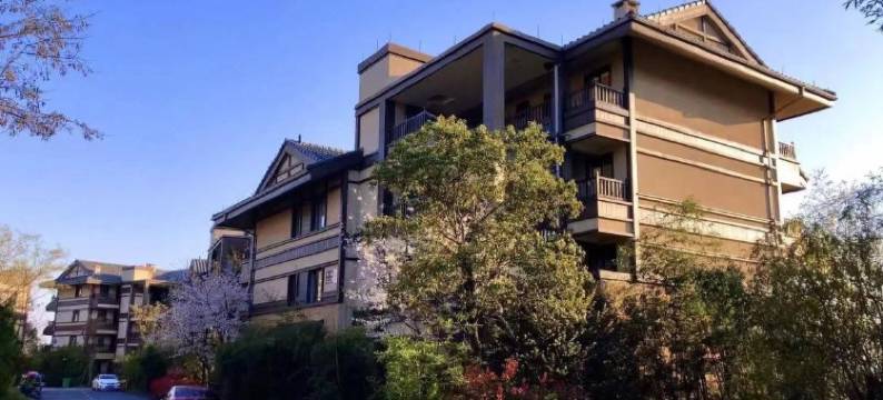 安吉境森居民宿图片