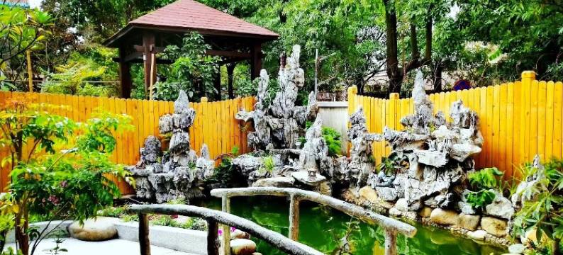 厦门彤昕情怀民宿图片