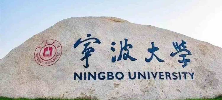 宁波镇海庄市大道亚朵X酒店图片