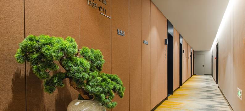 时光丽象酒店(国际会展中心绿地领海大厦店)图片