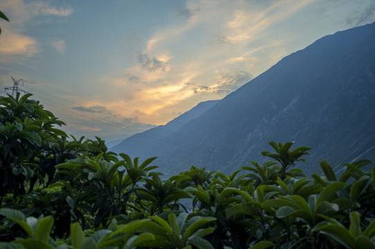 且停舎温泉民宿图片