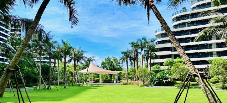 银滩大树海景公寓(皇家海湾公馆店)图片