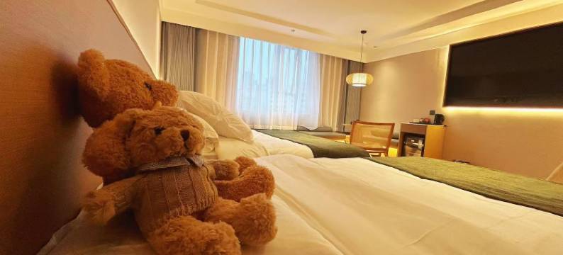 好莱屋·城宿HOTEL(上高文化广场店)图片