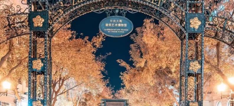 哈尔滨•雪花｜SnowFlakeProjection设计寓(中央大街索菲亚教堂店)图片