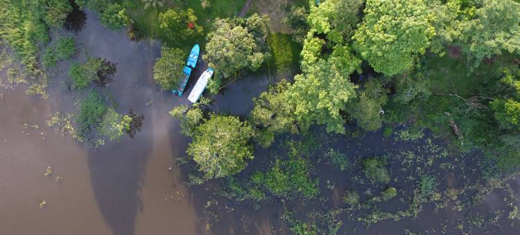 Caño Negro Country Lodge图片