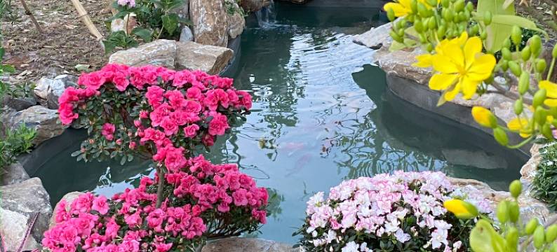 MyGarden Villa Binh Chau Hotspring图片