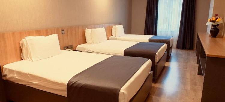 塔克西姆绿园酒店(The Green Park Taksim)图片