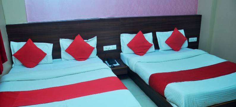 提卡纳宫酒店(Hotel Thikana Palace)图片