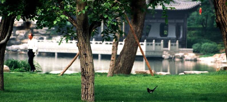 太原晋祠宾馆图片