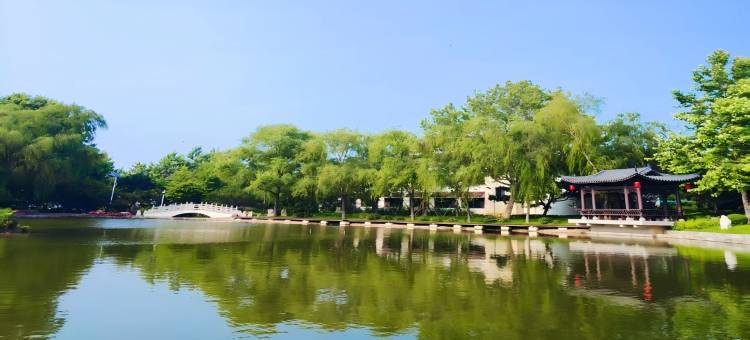 金旭路5号宾馆(北戴河碧螺塔海上公园店)图片