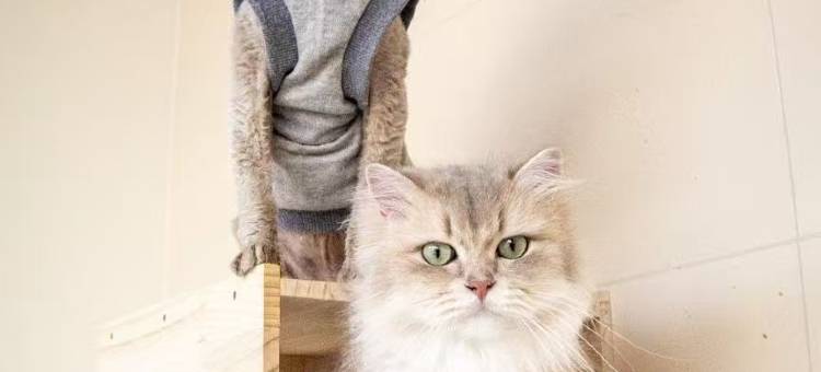 望园酒店(南京禄口国际机场金城学院店)图片