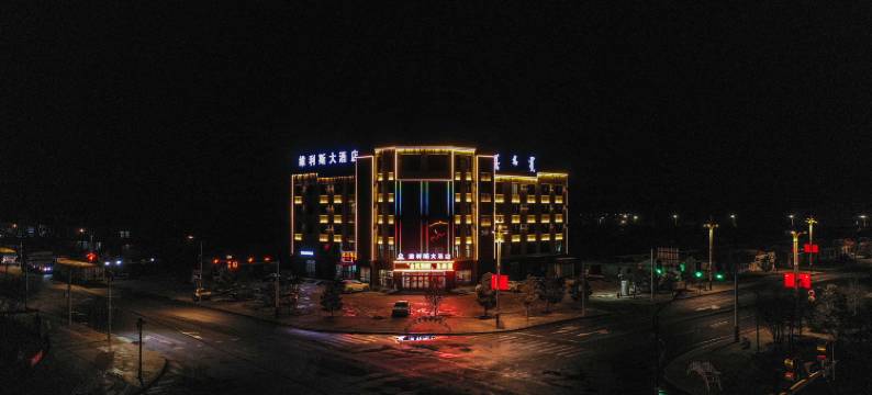 维利斯大酒店图片